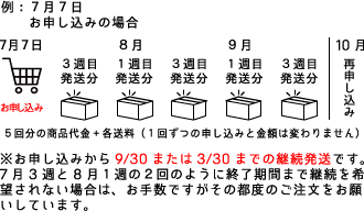 継続発送の説明