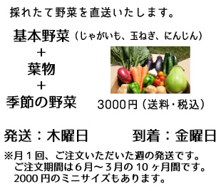 野菜BOX3000の説明